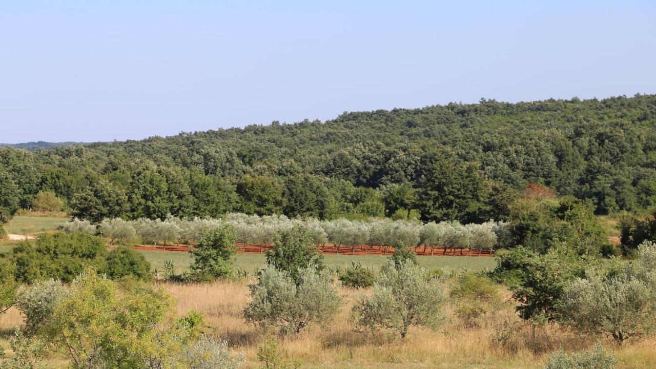 הוילה קאנפאנאר Casa Conte Istria מראה חיצוני תמונה