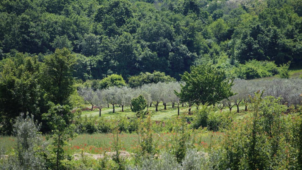 הוילה קאנפאנאר Casa Conte Istria מראה חיצוני תמונה